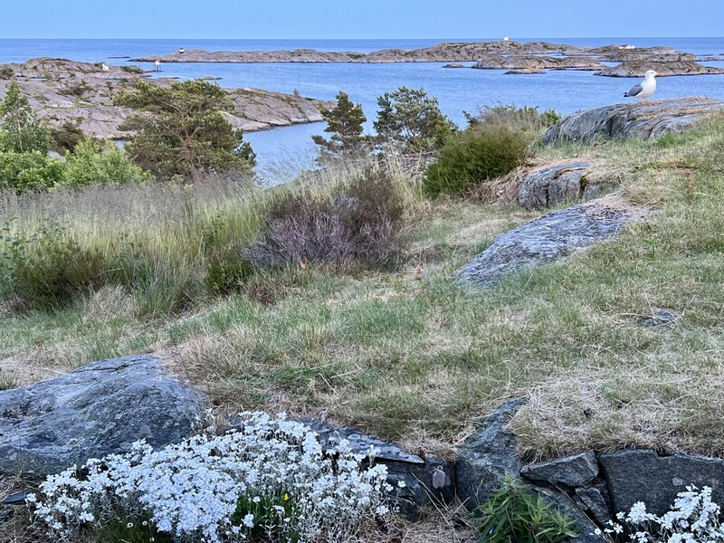 Klikk for å se forhåndsvisning