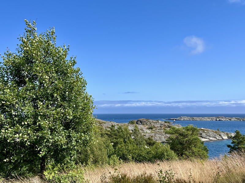 Klikk for å se forhåndsvisning