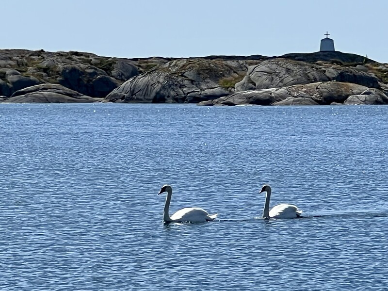 Klikk for å se forhåndsvisning