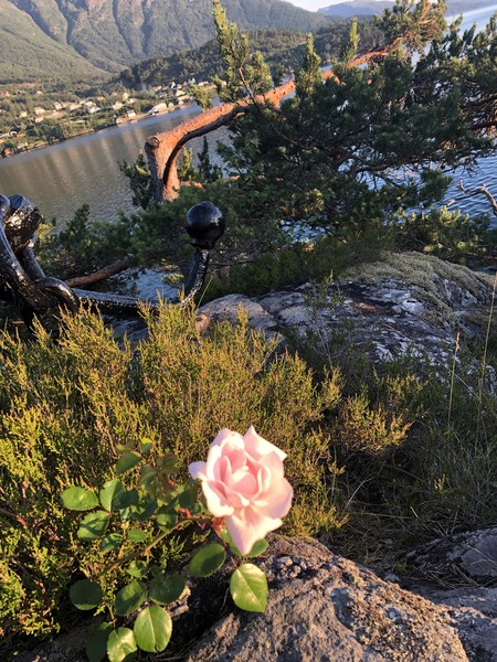 Klikk for å se forhåndsvisning